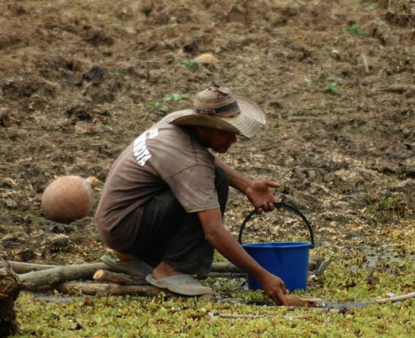 La explotación extrema de las tierras cultivables deja tras sí zonas desérticas que obligan a eliminar más bosques.