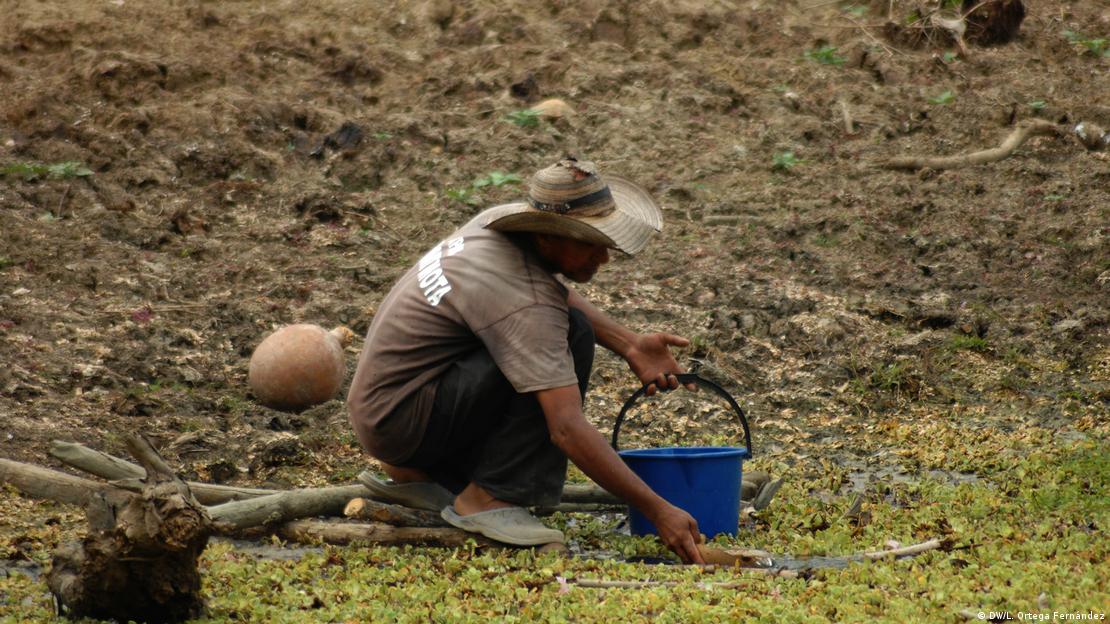 La explotación extrema de las tierras cultivables deja tras sí zonas desérticas que obligan a eliminar más bosques.