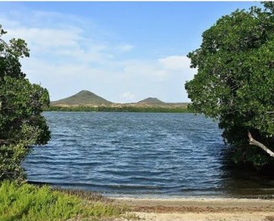 son áreas protegidas que gozan de un determinado estado legal que permite proteger y conservar la biodiversidad que se encuentra en ellos.