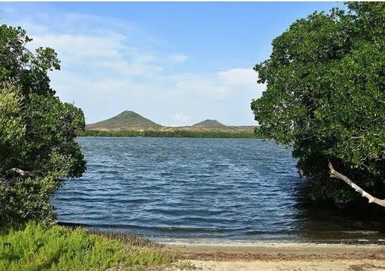 son áreas protegidas que gozan de un determinado estado legal que permite proteger y conservar la biodiversidad que se encuentra en ellos.