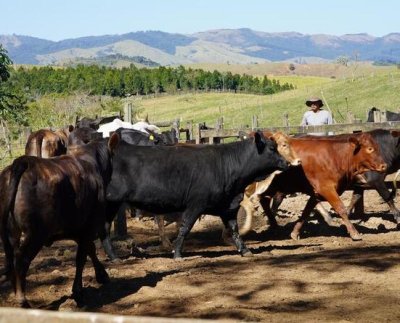 Tras años de negociaciones la presión para impulsar el acuerdo UE-Mercosur hacia la recta final crece. Algunos ven posibilidades mientras otros temen sus consecuencias.