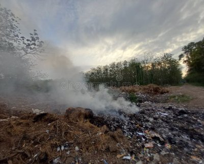 Según investigadores de la Universidad Simon Fraser los esfuerzos para reducir las emisiones de metano son urgentes si queremos cumplir con los objetivos de cambio climático global.