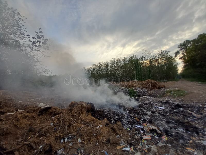 Según investigadores de la Universidad Simon Fraser los esfuerzos para reducir las emisiones de metano son urgentes si queremos cumplir con los objetivos de cambio climático global.