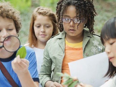 Una afección que suele diagnosticársele a los niños que por las razones que sean no están en contacto con la naturaleza y que es pernicioso para su desarrollo.