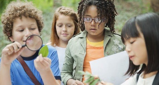 Una afección que suele diagnosticársele a los niños que por las razones que sean no están en contacto con la naturaleza y que es pernicioso para su desarrollo.