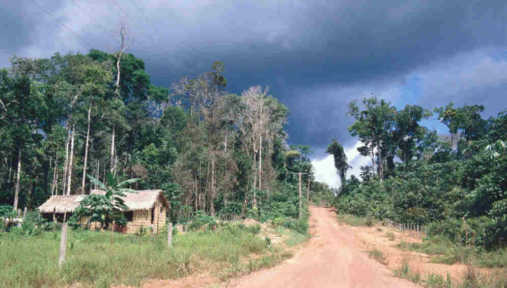 Amazonía, deforestación, mercado de carbono,