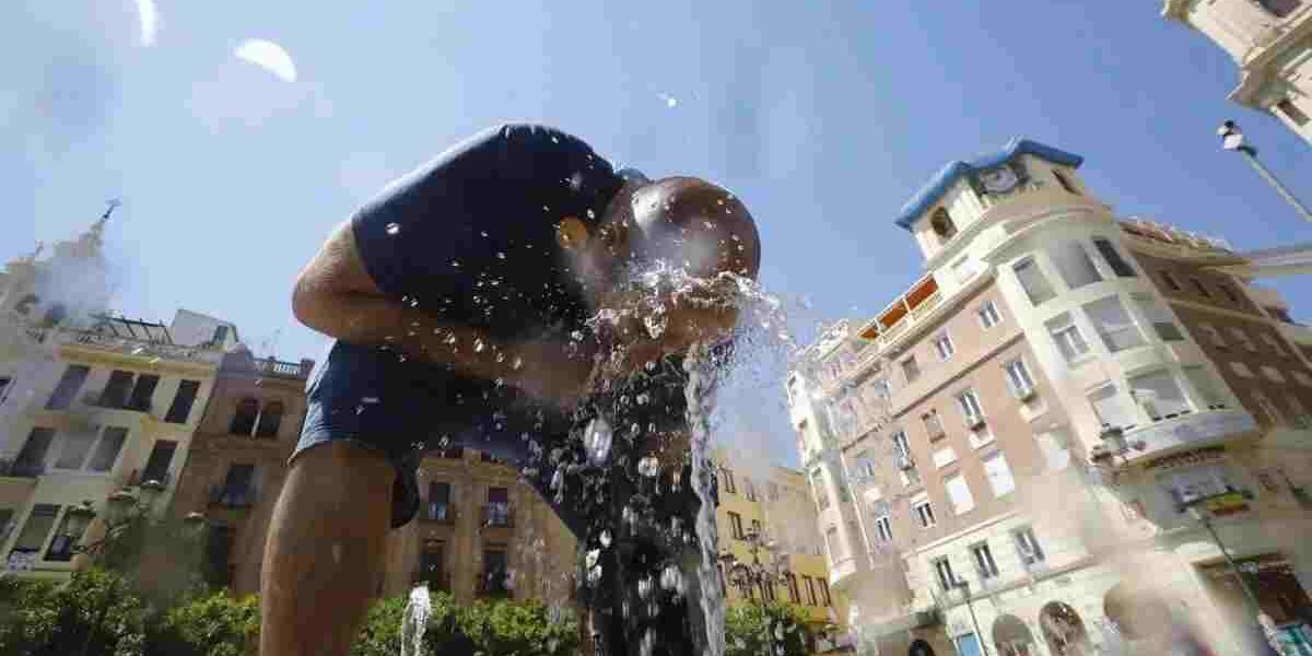 El calor extremo de este nuevo verano anómalo ha causado más de 1.800 defunciones en España aunque algunas estimaciones casi duplican esa cifra.