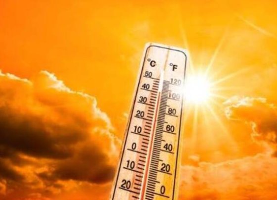 En el año 2022 la ola de calor cobró en Europa 61.672 muertes. En España ocurrieron 11.324 fallecidos. Italia sumó 18.010. En Alemania 8.173 decesos. En el Reino Unido 3.469.