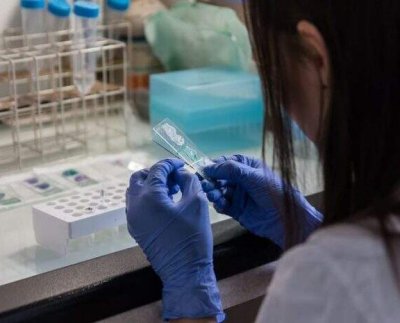 En muchos sitios ya se extrae quitina de los caparazones de camarones y cangrejos para varias aplicaciones.