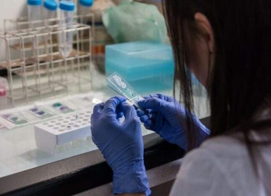 En muchos sitios ya se extrae quitina de los caparazones de camarones y cangrejos para varias aplicaciones.