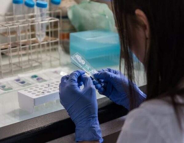 En muchos sitios ya se extrae quitina de los caparazones de camarones y cangrejos para varias aplicaciones.