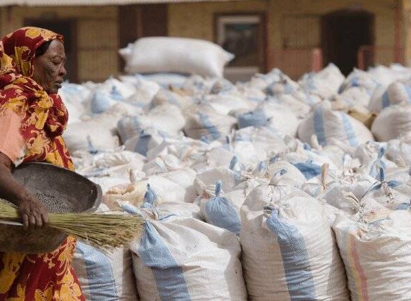 Las sequías pueden provocar pérdidas en varios cultivos y las zonas vitivinícolas en Chile y California podrían desaparecer.