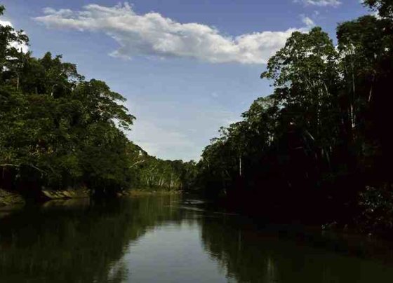 Eso quiere decir que en el lapso de 365 días todas las maquinarias deben ser desmontadas y las perforaciones deben sellarse.