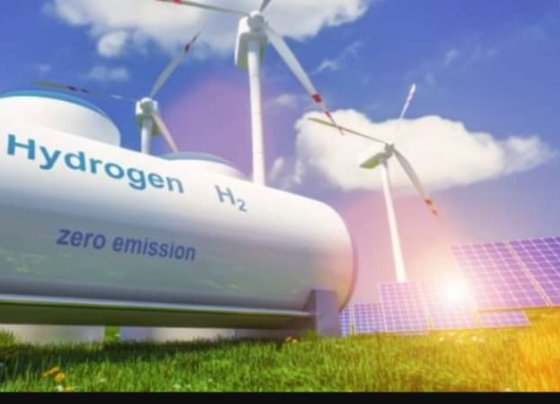 Perseguiremos y alentaremos esfuerzos para triplicar la capacidad global de energía renovable a través de los objetivos y políticas existentes», señala el comunicado alcanzado en la capital india