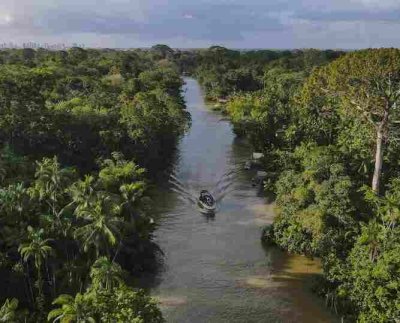Este monitoreo tratará tres cuestiones principales de la selva amazónica: la deforestación el flujo de animales y la bioacústica.