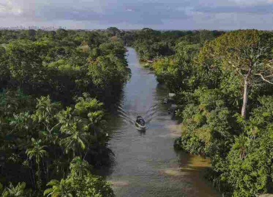 Este monitoreo tratará tres cuestiones principales de la selva amazónica: la deforestación el flujo de animales y la bioacústica.