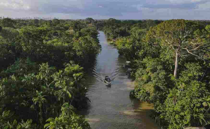 Este monitoreo tratará tres cuestiones principales de la selva amazónica: la deforestación el flujo de animales y la bioacústica.