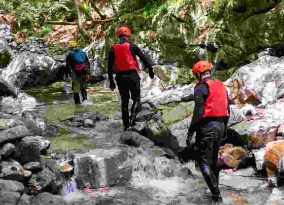 Hoy comienza la Cumbre Mundial de Viajes de Aventura en Hokkaido el evento anual más grande para profesionales del turismo de aventura.