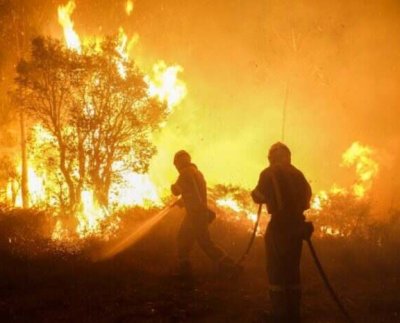 Greenpeace alerta de que se necesitan mil millones de euros anuales para la gestión de las masas forestales en España.