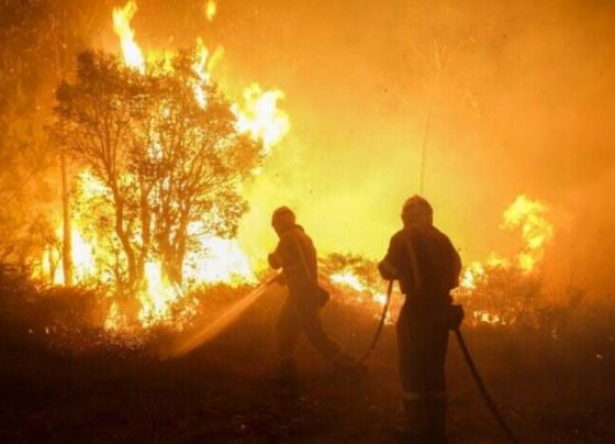 Greenpeace alerta de que se necesitan mil millones de euros anuales para la gestión de las masas forestales en España.