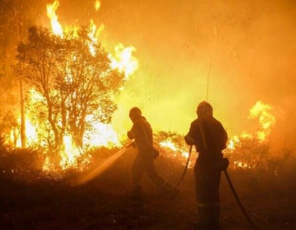 Greenpeace alerta de que se necesitan mil millones de euros anuales para la gestión de las masas forestales en España.