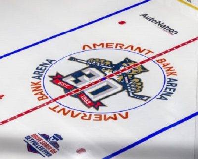 La casa de los Florida Panthers desde 1998 lleva por nombre FLA Live Arena, pero tras la asociación con el American Bank ahora cambiará su nombre