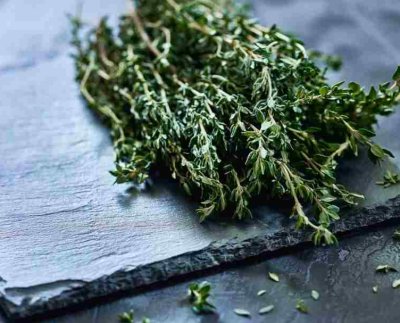 Tomillo es una planta aromática usada como condimento de las comidas aunque esta planta también tiene propiedades para mejorar la salud.