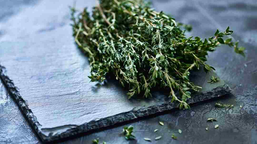 Tomillo es una planta aromática usada como condimento de las comidas aunque esta planta también tiene propiedades para mejorar la salud.