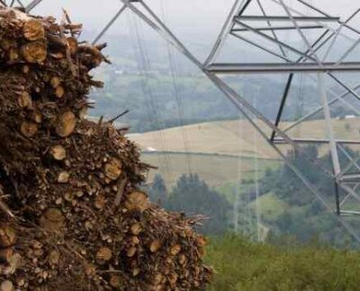 La actividad agrícola genera cada año en España casi 13 millones de toneladas de materia seca de restos herbáceos y leñosos que podrían reemplazar millones de litros de combustibles fósiles