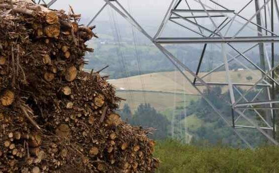 La actividad agrícola genera cada año en España casi 13 millones de toneladas de materia seca de restos herbáceos y leñosos que podrían reemplazar millones de litros de combustibles fósiles