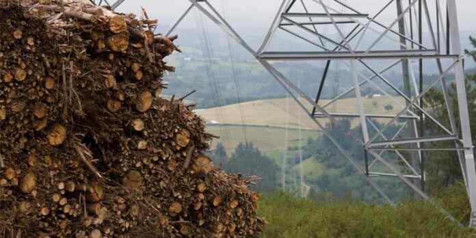 La actividad agrícola genera cada año en España casi 13 millones de toneladas de materia seca de restos herbáceos y leñosos que podrían reemplazar millones de litros de combustibles fósiles