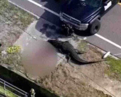 Las autoridades hicieron un inquietante descubrimiento en una carretera a la 1:50 de la tarde informando sobre el hallazgo de una persona fallecida entre las calles 134th Avenue North y 121st Street.