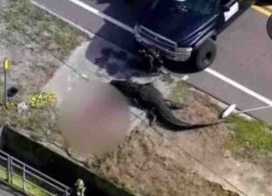 Las autoridades hicieron un inquietante descubrimiento en una carretera a la 1:50 de la tarde informando sobre el hallazgo de una persona fallecida entre las calles 134th Avenue North y 121st Street.
