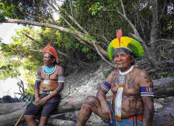 El más reciente informe de Global Witness vuelve a registrar una tendencia presente en otros años: las comunidades indígenas están sufriendo una violencia permanente.