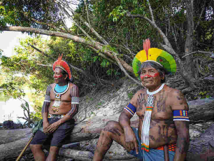 El más reciente informe de Global Witness vuelve a registrar una tendencia presente en otros años: las comunidades indígenas están sufriendo una violencia permanente.