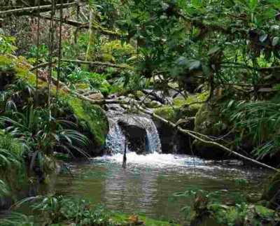 Los mercados de carbono se idearon como una medida para incentivar económicamente a las empresas y gobiernos a reducir sus emisiones de gases de efecto invernadero (GEI)