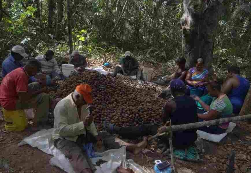 El proyecto de conservación comunitaria emprendido por Phynatura busca combatir la deforestación y la minería ilegal en la Guayana venezolana.