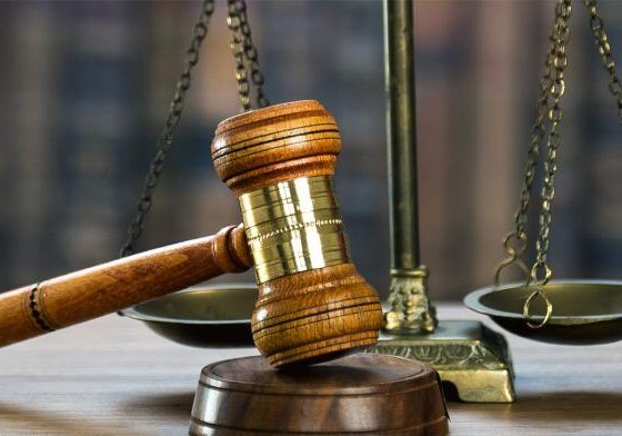 El parlamento acordó apoyar que los delitos de ecocidio sean incluidos en la Directiva de la Unión Europea sobre la protección del ambiente a través del derecho penal.