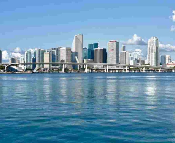 Uno de los aspectos más interesantes es cómo refleja la coexistencia y la influencia mutua entre las comunidades de habla hispana e inglesa en el sur de Miami.