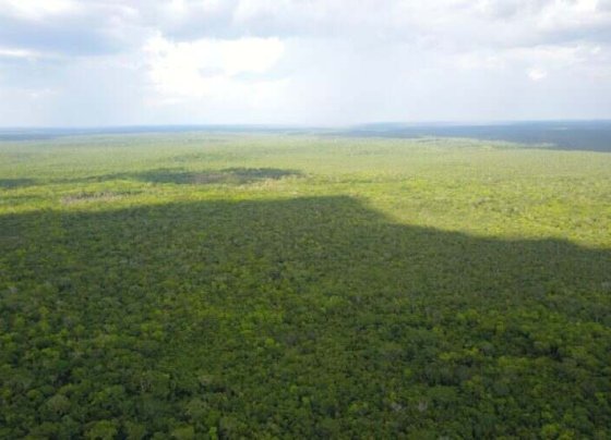 Los análisis muestran que Guatemala es uno de los países más vulnerables a la variabilidad climática y eso acrecienta la vulnerabilidad de la sociedad guatemalteca.