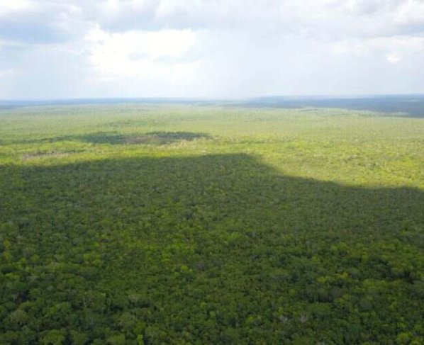 Los análisis muestran que Guatemala es uno de los países más vulnerables a la variabilidad climática y eso acrecienta la vulnerabilidad de la sociedad guatemalteca.