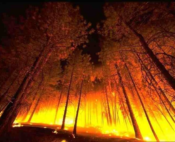 Nueve de cada diez incendios forestales en el país son causados por seres humanos y solo 1% corresponde a fenómenos naturales como descargas eléctricas