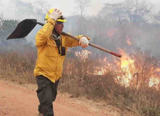 Cuatro incendios forestales en áreas protegidas y 11 en zonas de amortiguamiento se han registrado en lo que va de 2023.