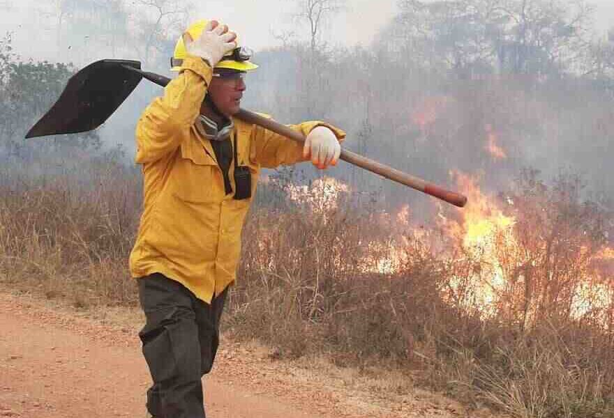 Cuatro incendios forestales en áreas protegidas y 11 en zonas de amortiguamiento se han registrado en lo que va de 2023.