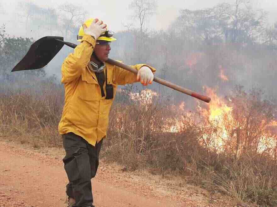 Cuatro incendios forestales en áreas protegidas y 11 en zonas de amortiguamiento se han registrado en lo que va de 2023.
