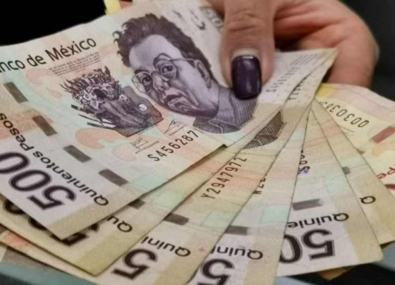 Una empresa ubicada en Estados Unidos se encuentra en busca de mexicanos con secundaria terminada que puedan ocupar el puesto de gestor de descarga de productos agrícolas