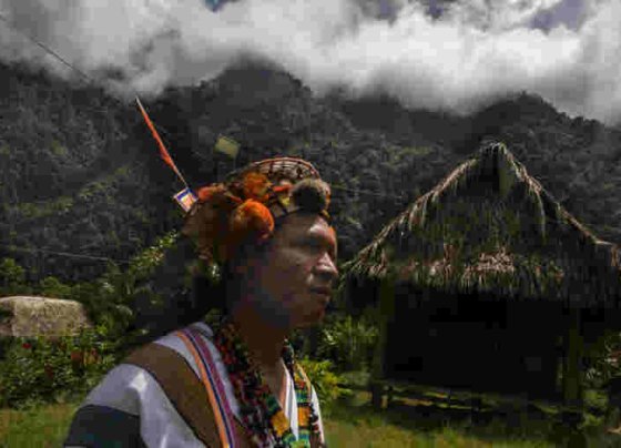 Se trata del más alto porcentaje de coca sobre territorio peruano y cuya tendencia cada año es creciente: entre 2018 y 2022 hubo un aumento de 11.597 hectáreas.