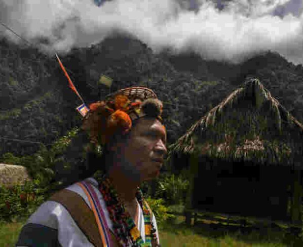 Se trata del más alto porcentaje de coca sobre territorio peruano y cuya tendencia cada año es creciente: entre 2018 y 2022 hubo un aumento de 11.597 hectáreas.