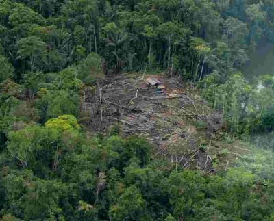 Es preocupante la “mutación” que ha tenido la minería ilegal hacia las estructuras del crimen organizado vinculadas al narcotráfico la tala ilegal y la ocupación de tierras.
