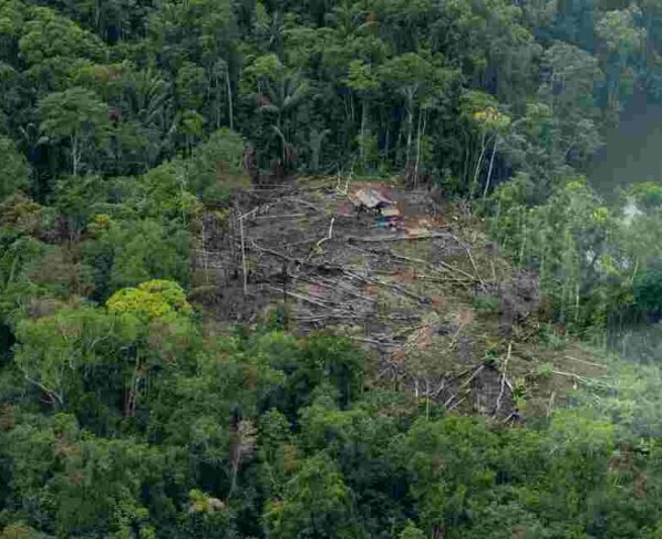 Es preocupante la “mutación” que ha tenido la minería ilegal hacia las estructuras del crimen organizado vinculadas al narcotráfico la tala ilegal y la ocupación de tierras.